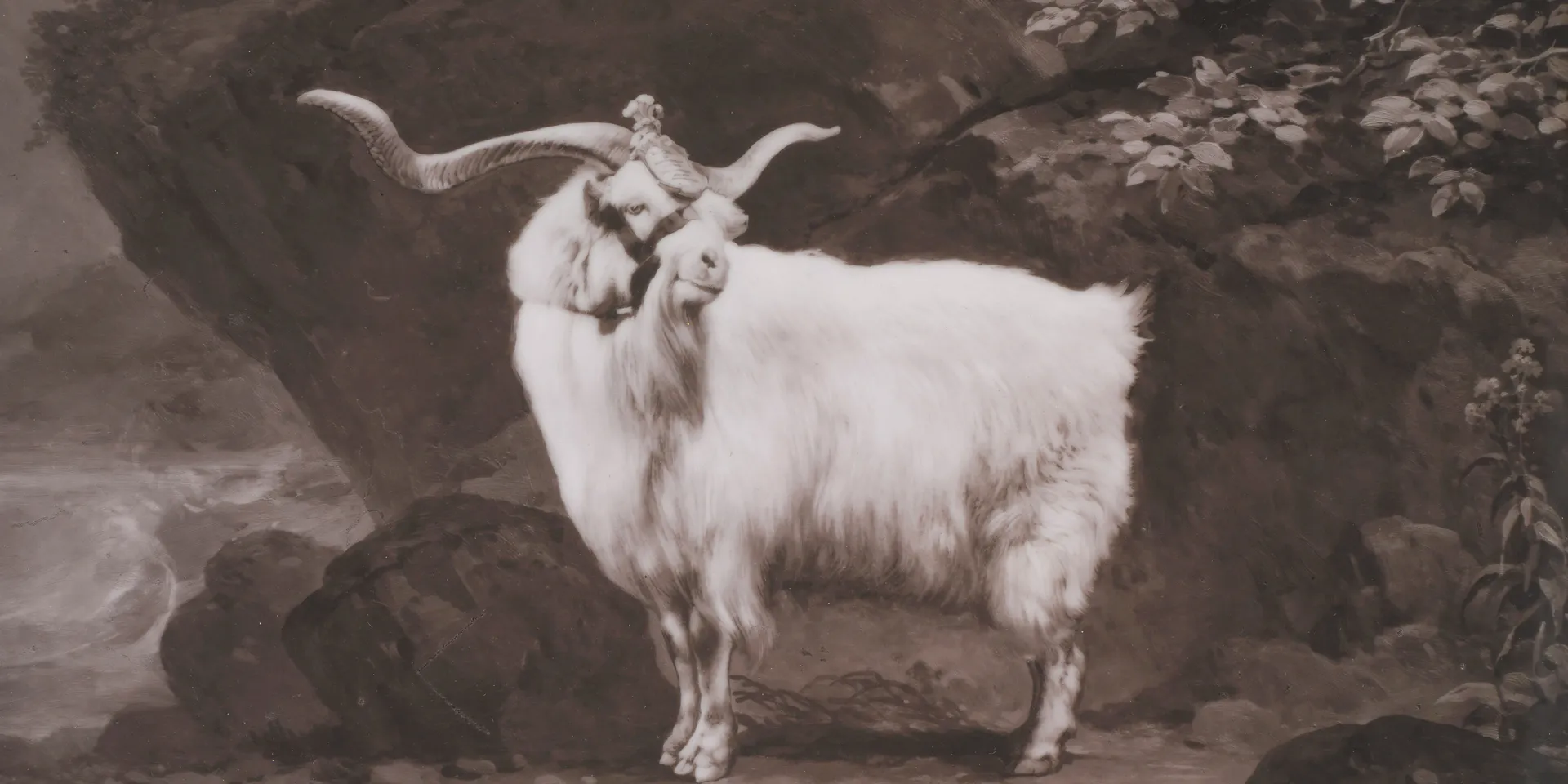 Painting of HM Billy Goat of 2nd Battalion Royal Welsh Fusiliers, 1955
