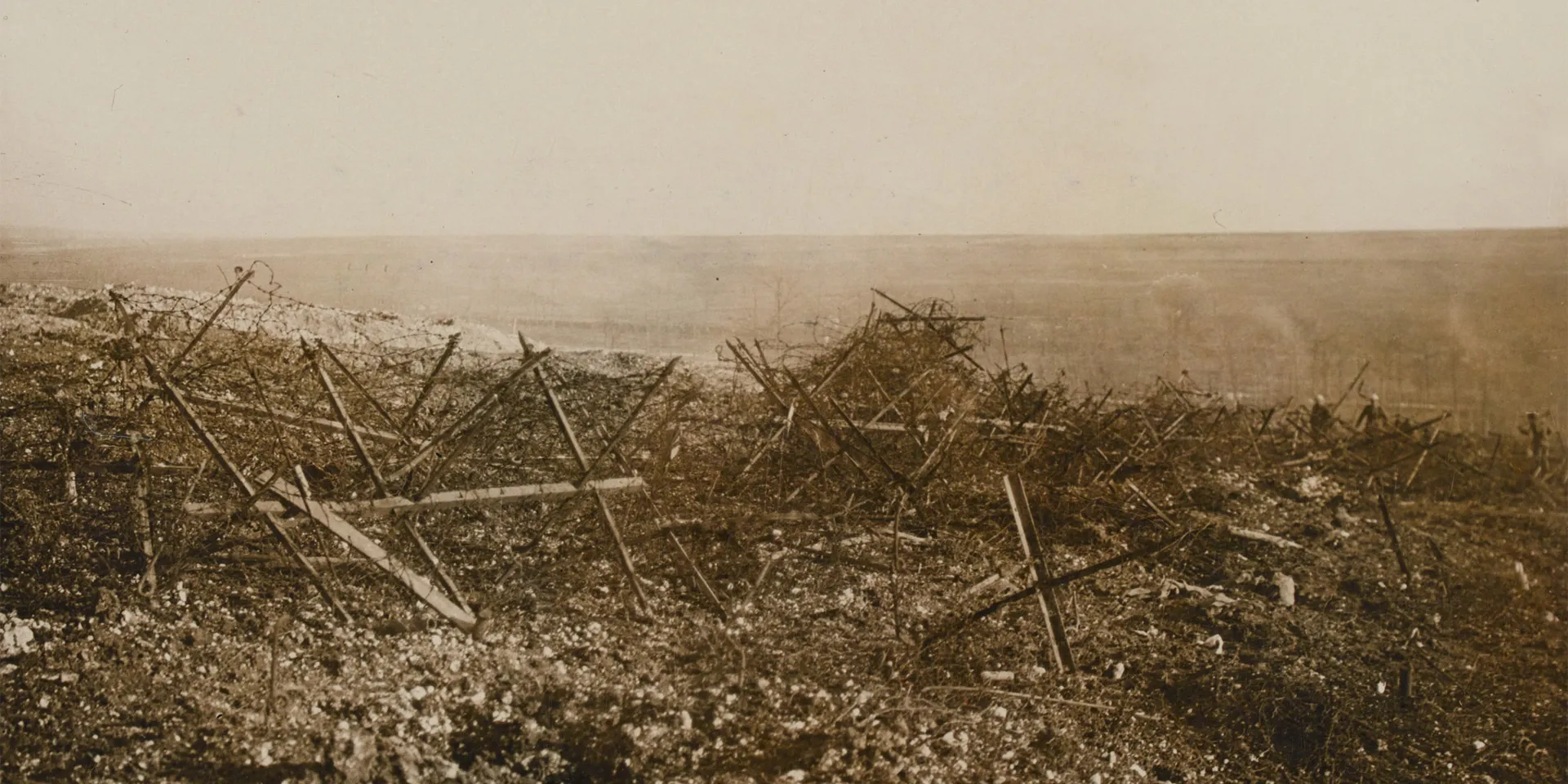 German barbed wire at Beaucourt, November 1916