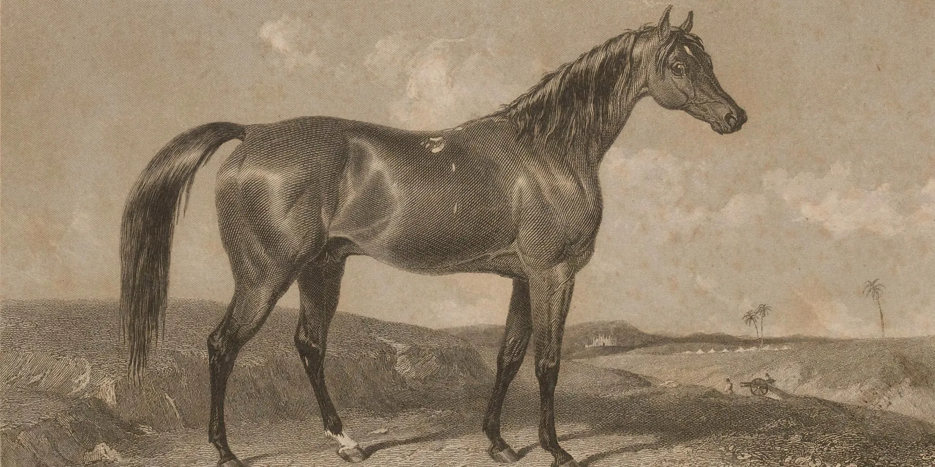 Aliwal in India, 1847