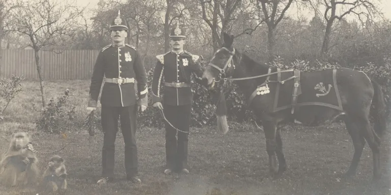 Jimson the Mule, and Bob the Baboon in 1904