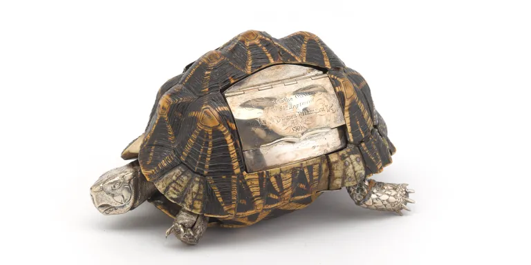Tortoise snuff box belonging to Joseph Brabazon Pilkington