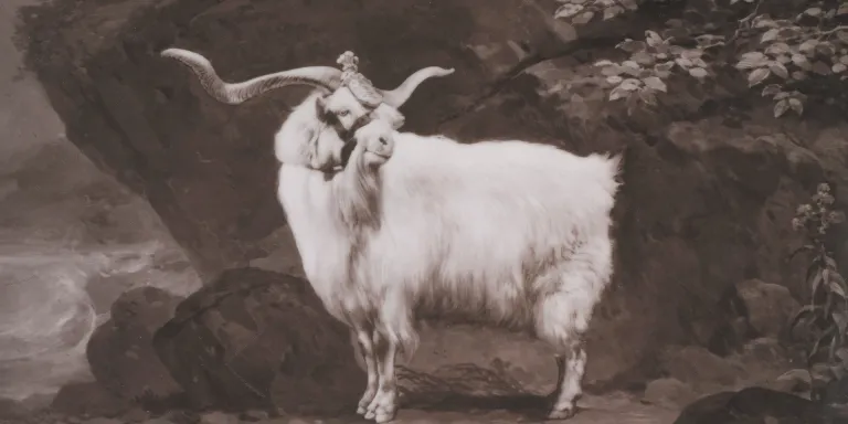 Army mascots | National Army Museum