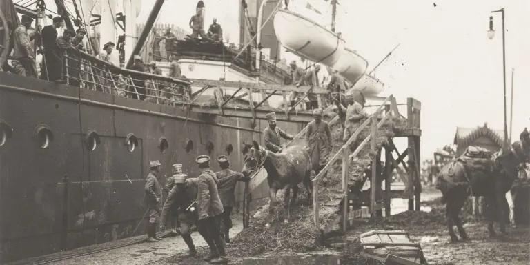 Landing horses in Salonika, c1916