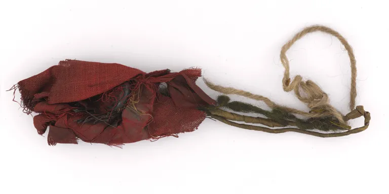 The poppy before conservation