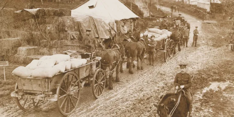Bringing supplies into camp, c1916