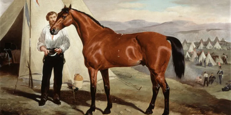 Sir Briggs, the horse of Lord Tredegar in the camp in the Crimea, 1854