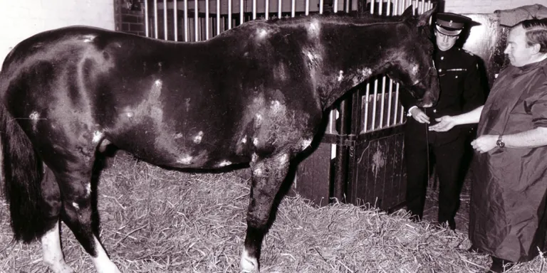 Sefton recovering from his wounds, c1983 
