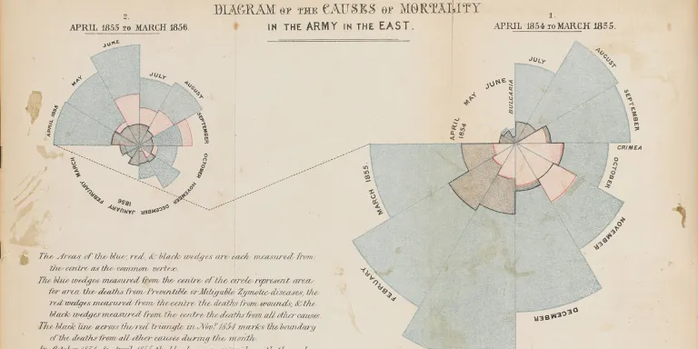 Florence Nightingale's diagram showing causes of death in the Crimea, c1856